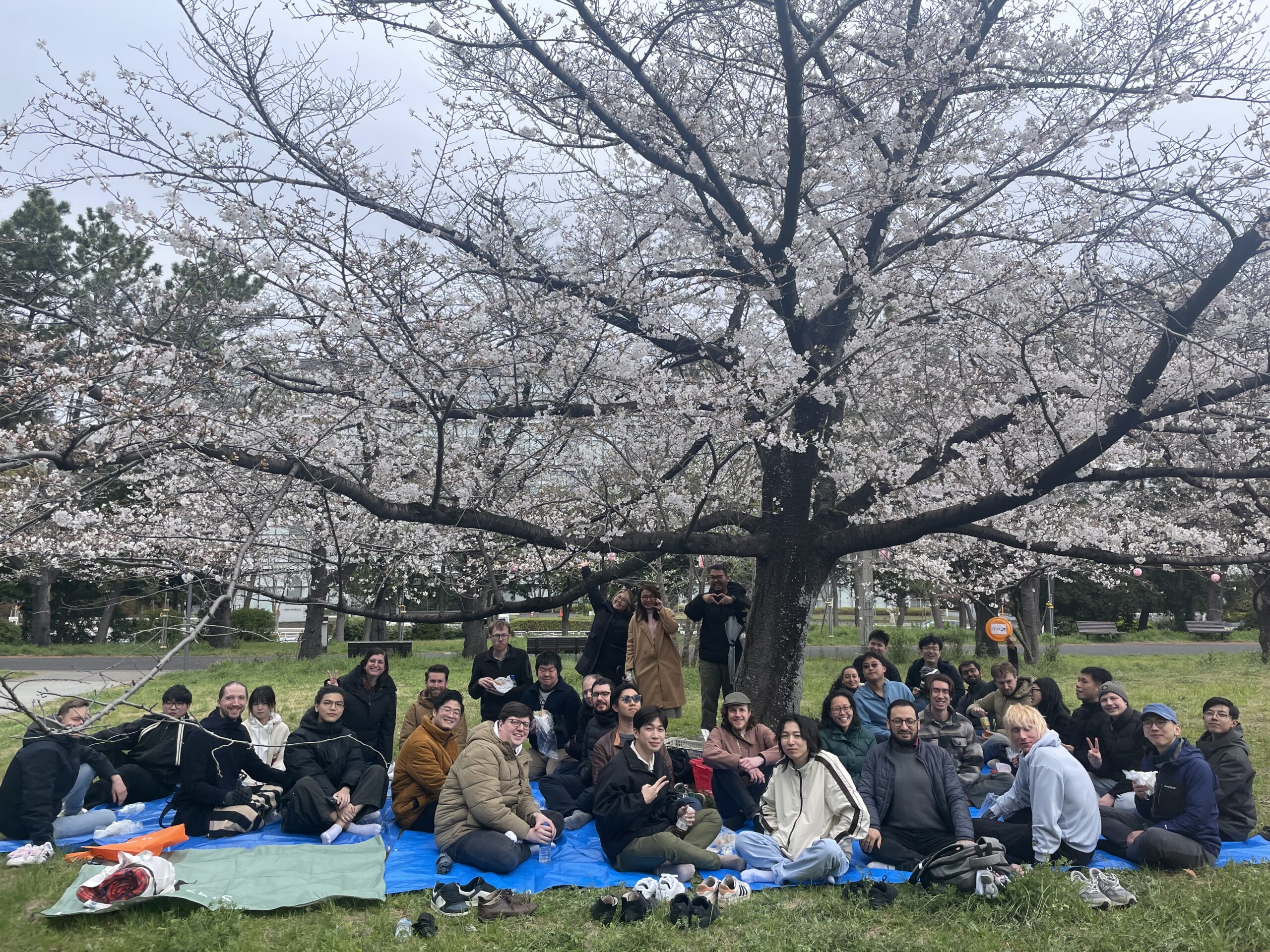 その他 Hanami 8CAACB28-310D-4A67-BFB0-